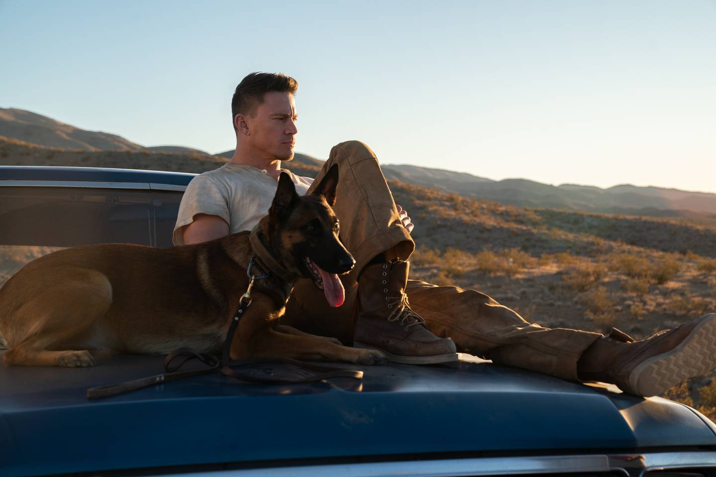 Dog Un viaje salvaje Review Algo más que cine